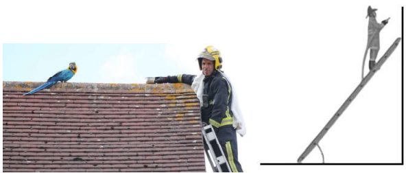 CBSE Class 10 Maths Basic 2025 430/1/1 Set 1 - Question 36